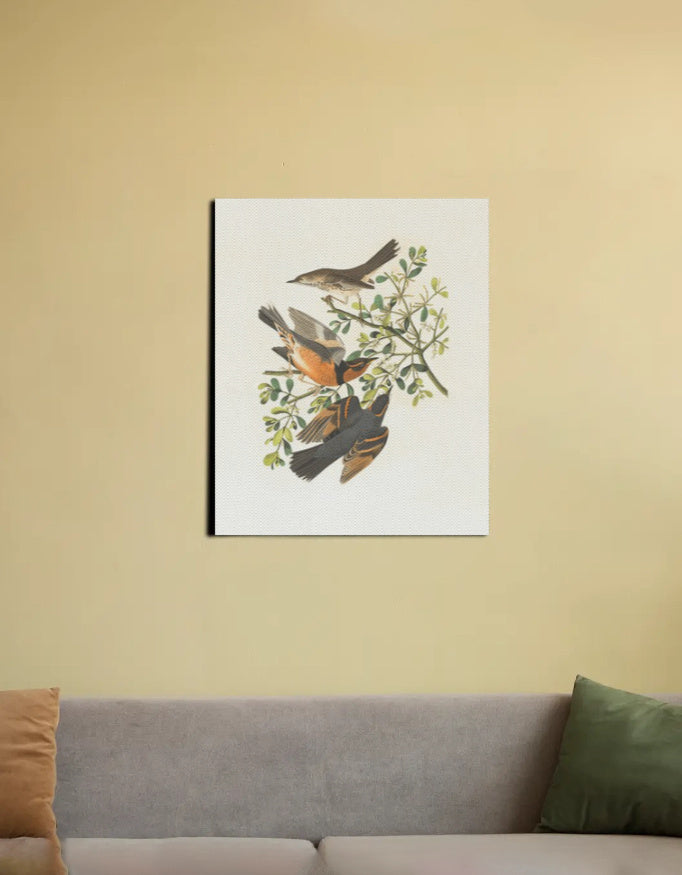 Chirping Birds