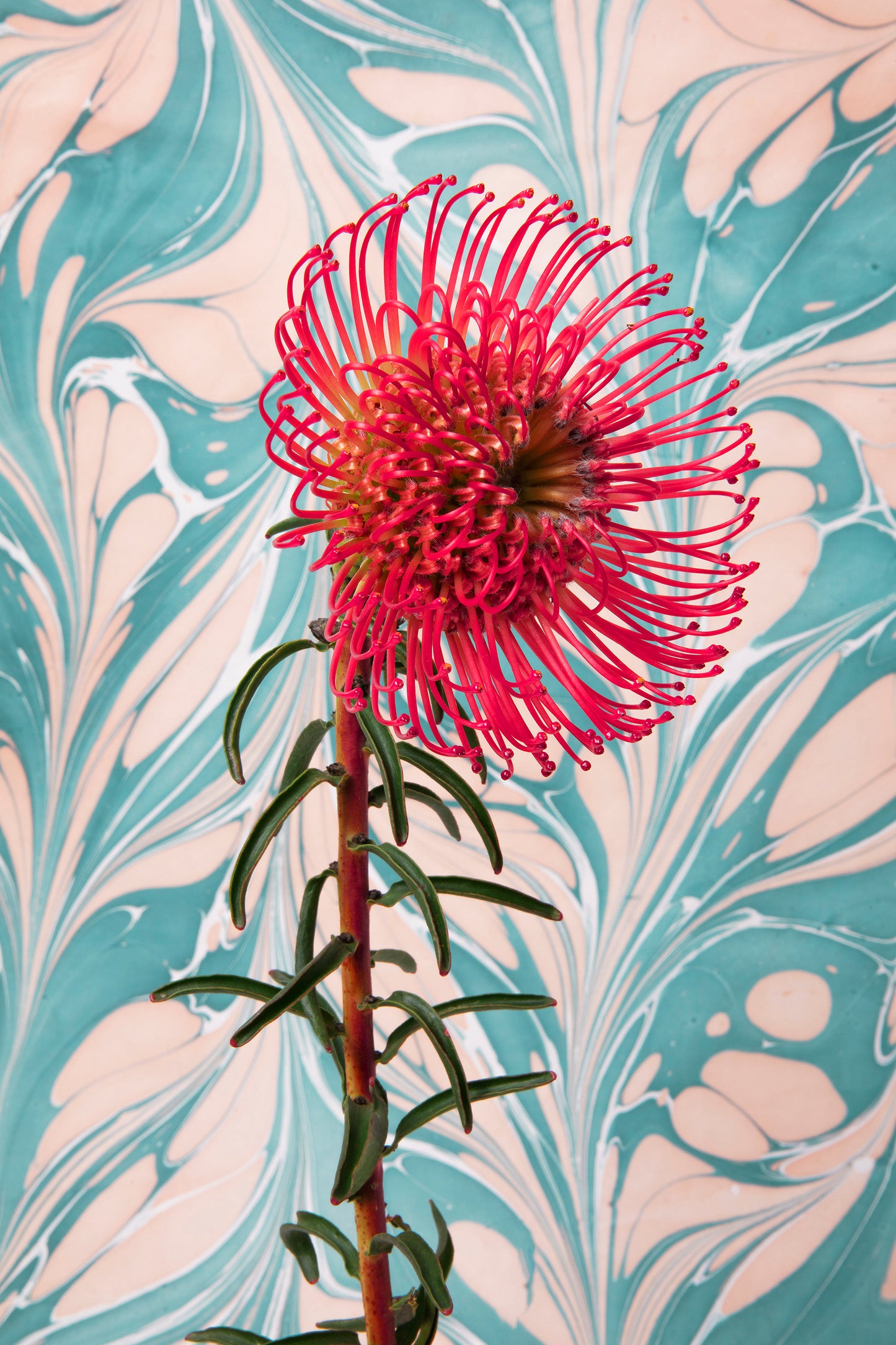 Red Flower With Psychedelic Painting