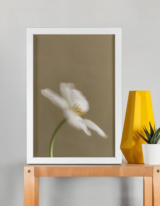 Color_White
