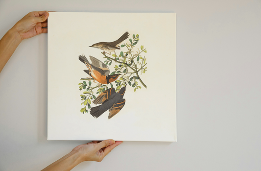 Chirping Birds